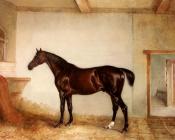 A Bay Hunter In A Loose Box - 约翰·弗恩利